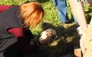 'Битва экстрасенсов' 18.02.2017: 17 сезон 23 серия