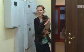 'Битва экстрасенсов' 07.03.2015: 15 сезон 16 серия