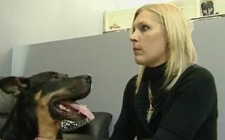 Битва экстрасенсов 12 сезон все серии