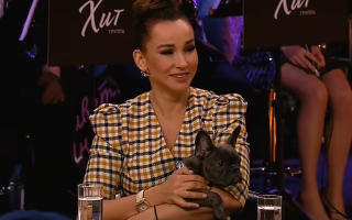 Привет, Андрей! 07.12.2019: Звездные питомцы