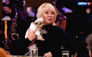 'Привет, Андрей!' 19.10.2019: Диалоги о животных