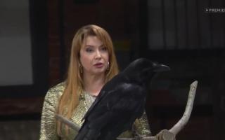 'Битва экстрасенсов' 21.11.2020: 21 сезон 9 серия